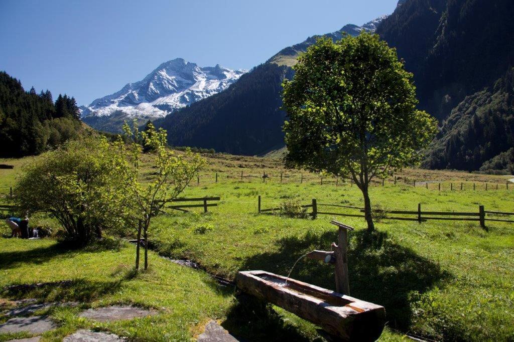 Garni Roesslhof Ξενοδοχείο Hollersbach im Pinzgau Εξωτερικό φωτογραφία