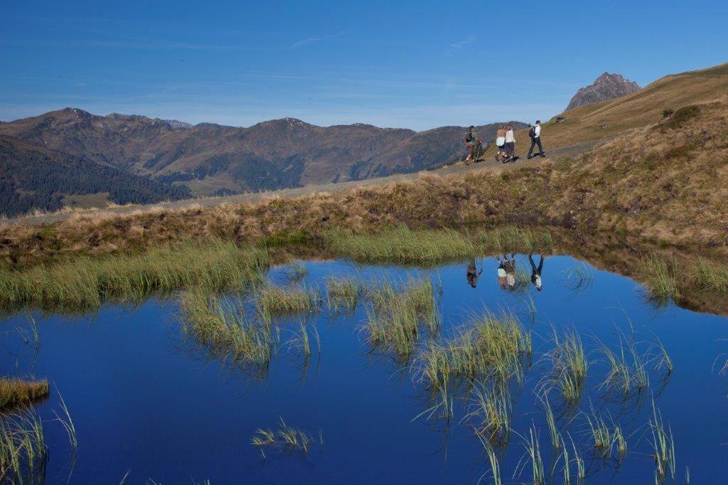 Garni Roesslhof Ξενοδοχείο Hollersbach im Pinzgau Εξωτερικό φωτογραφία