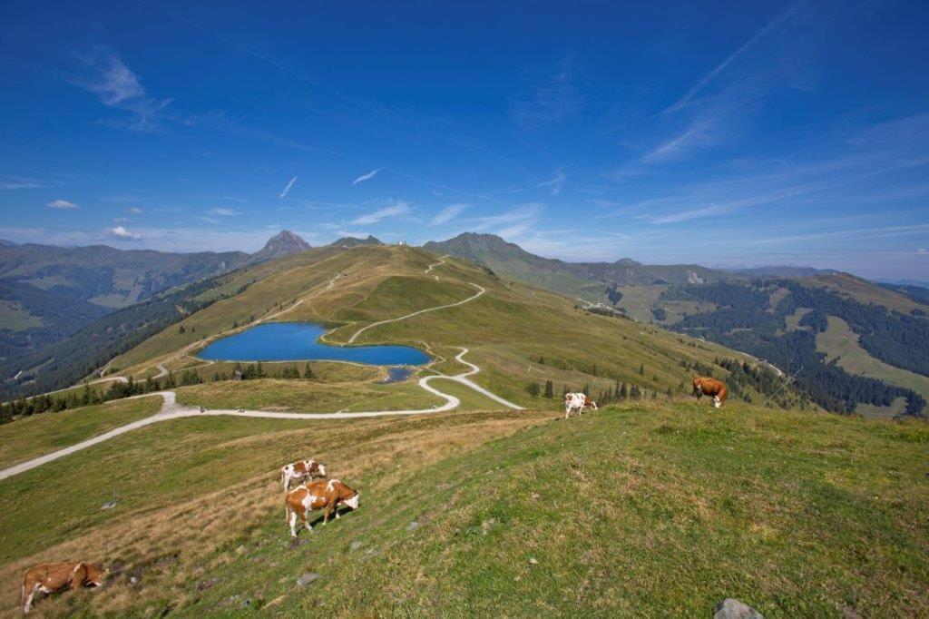 Garni Roesslhof Ξενοδοχείο Hollersbach im Pinzgau Εξωτερικό φωτογραφία